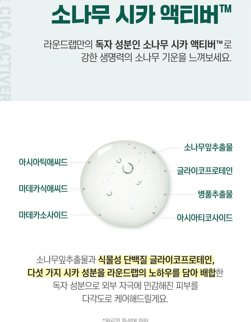 [NEW/한겹밀착] 라운드랩 소나무 진정 시카 선크림 40ml 상세페이지 10